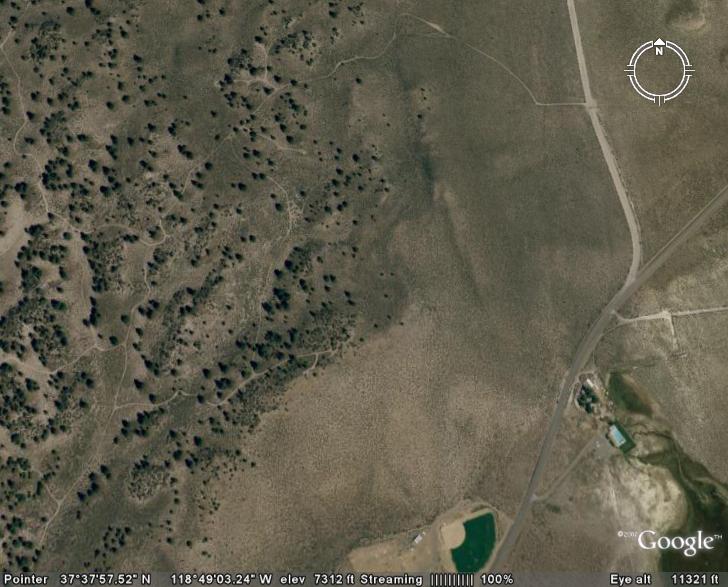 Google Earth Image