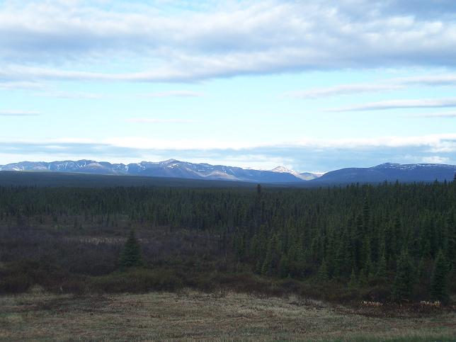Alaska Highway View