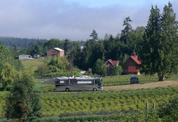 RV Campng In Wine Country