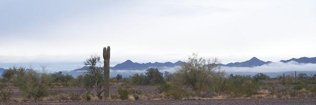 QuartzsiteCampsiteView