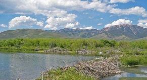 Summit Creek Recreation Site - Idaho